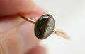 Feather Cremation Ashes Ring, Pet Bird Keepsake, Bird Urn, Bird Memorial Ring
