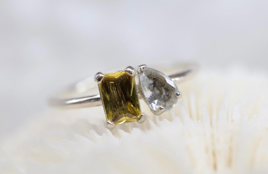 Toi et Moi Cremation Ashes and Fur/Hair Keepsake Ring
